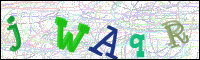 Verificación de la imagen