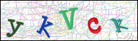 Verificación de la imagen