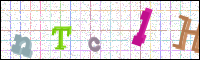 Verificación de la imagen
