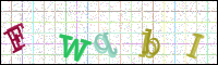 Verificación de la imagen