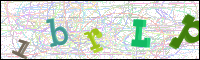 Verificación de la imagen