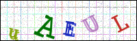 Verificación de la imagen