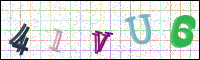 Verificación de la imagen