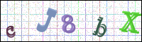 Verificación de la imagen