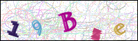 Verificación de la imagen