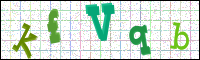 Verificación de la imagen