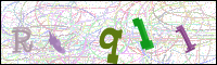Verificación de la imagen