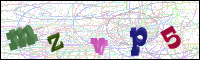 Verificación de la imagen
