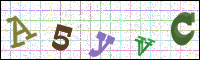 Verificación de la imagen