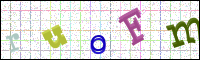 Verificación de la imagen