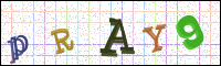Verificación de la imagen