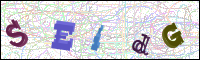 Verificación de la imagen