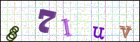 Verificación de la imagen