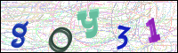 Verificación de la imagen