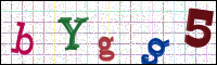 Verificación de la imagen