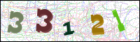 Verificación de la imagen