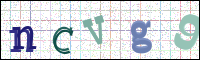 Verificación de la imagen