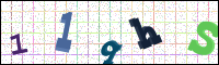 Verificación de la imagen