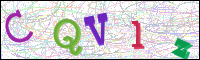 Verificación de la imagen