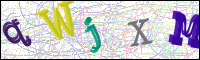 Verificación de la imagen