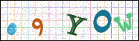 Verificación de la imagen