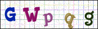 Verificación de la imagen