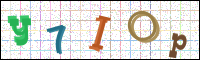 Verificación de la imagen