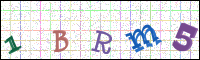 Verificación de la imagen