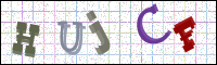 Verificación de la imagen