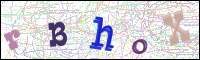 Verificación de la imagen