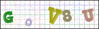 Verificación de la imagen
