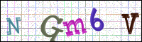Verificación de la imagen