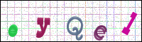Verificación de la imagen