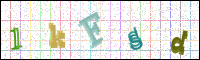 Verificación de la imagen