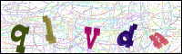 Verificación de la imagen