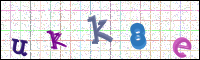Verificación de la imagen