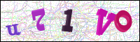 Verificación de la imagen