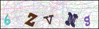 Verificación de la imagen