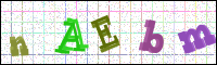 Verificación de la imagen