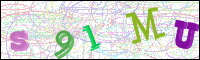 Verificación de la imagen