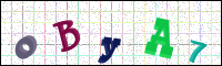 Verificación de la imagen
