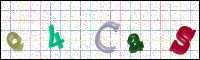 Verificación de la imagen
