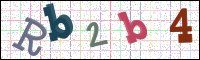 Verificación de la imagen