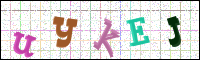Verificación de la imagen