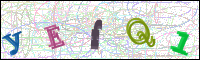 Verificación de la imagen