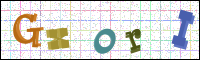 Verificación de la imagen