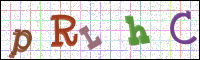 Verificación de la imagen