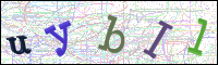 Verificación de la imagen