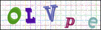 Verificación de la imagen