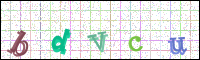 Verificación de la imagen